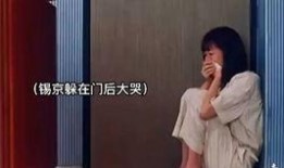 七婶爆料董事长视频全集,董事长视频全集深度解析