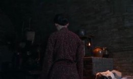 白鹿原29集在线观看,命运转折，家族纷争再升级